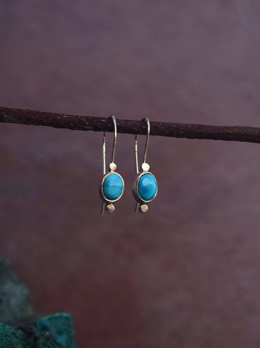 Sacred Stone Earrings | Blue Bird Turquoise