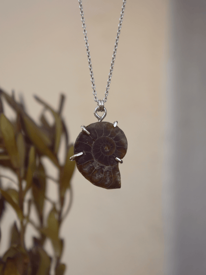 Ammonite Pendant