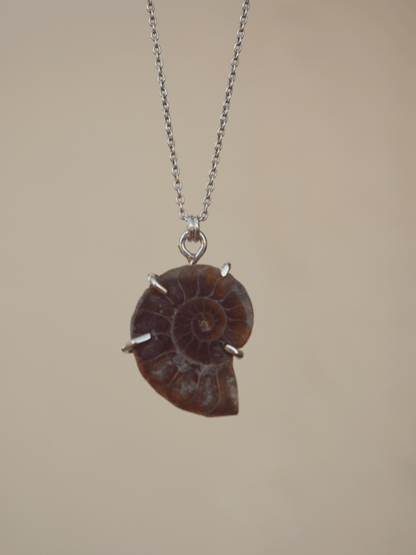 Ammonite Pendant