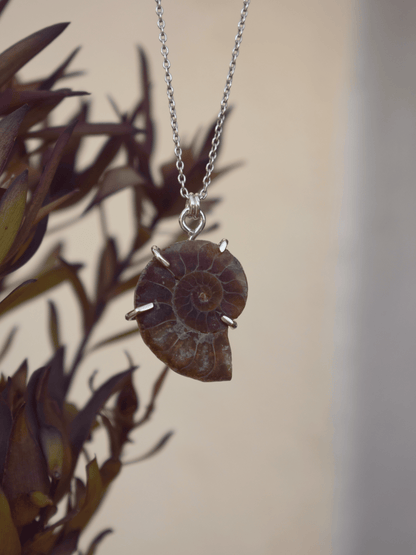 Ammonite Pendant