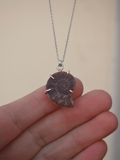 Ammonite Pendant