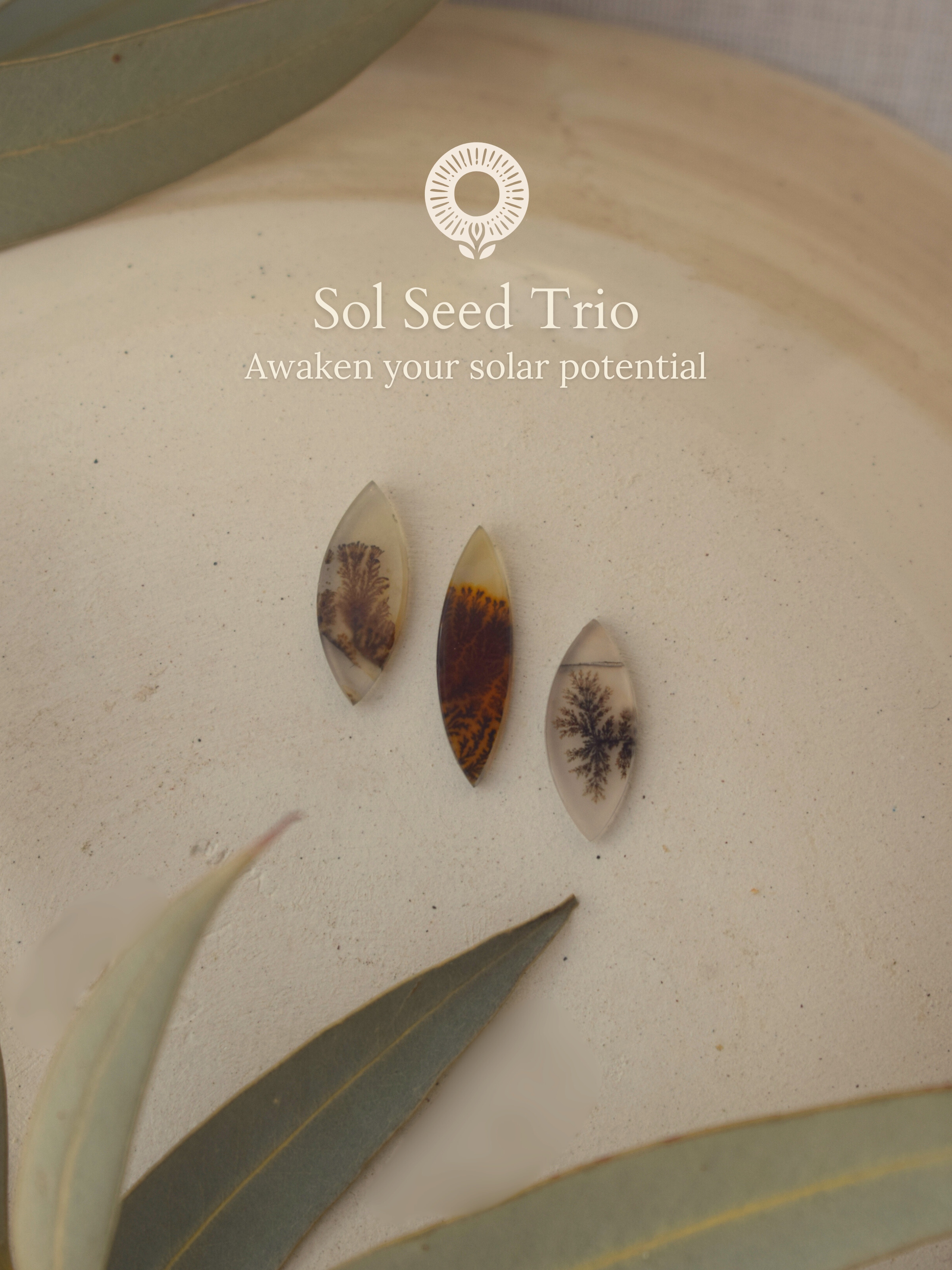 Sol Seed Necklace - Dendritic Agate 3